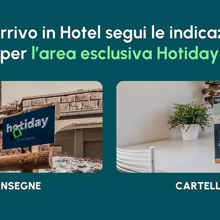Hotiday Collection -