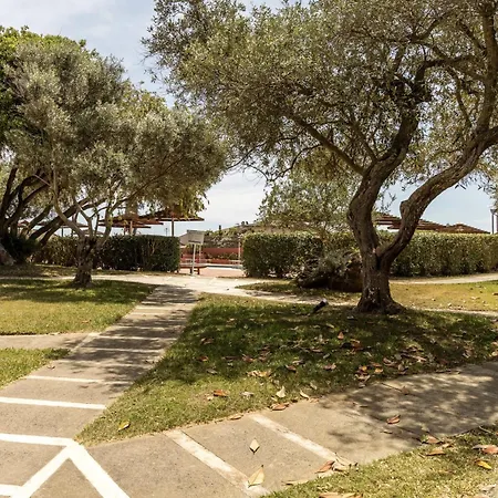 Hotel Hotiday Collection - 4*